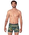 Muchachomalo Boxer Golden 12-Pack