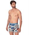 Muchachomalo Boxer Golden 12-Pack