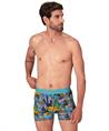 Muchachomalo Boxer Golden 12-Pack