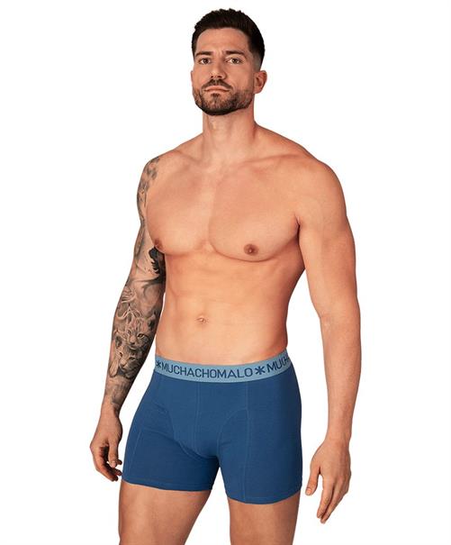 Muchachomalo Boxer Golden 12-Pack