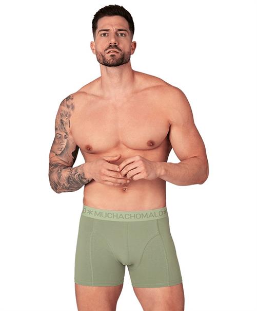 Muchachomalo Boxer Golden 12-Pack