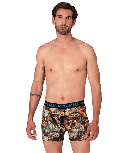 Muchachomalo Boxer Golden 12-Pack