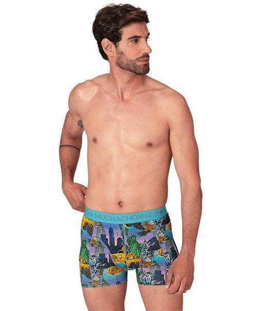 Muchachomalo Boxer Golden 12-Pack