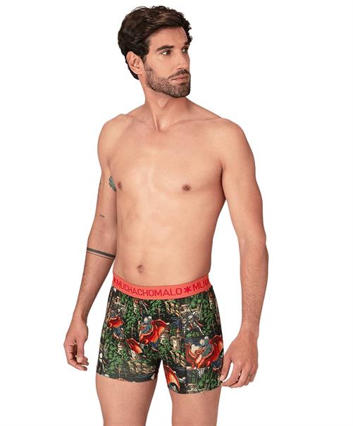 Muchachomalo Boxer Golden 12-Pack