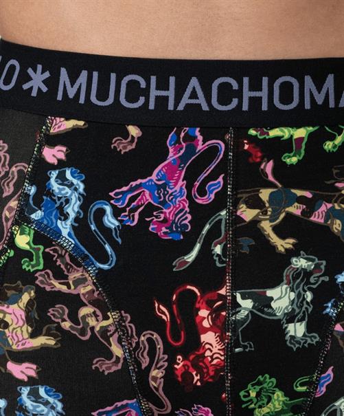 Muchachomalo Boxer Golden 12-Pack