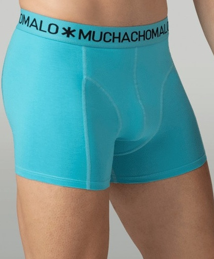 Muchachomalo Boxer Golden 12-Pack