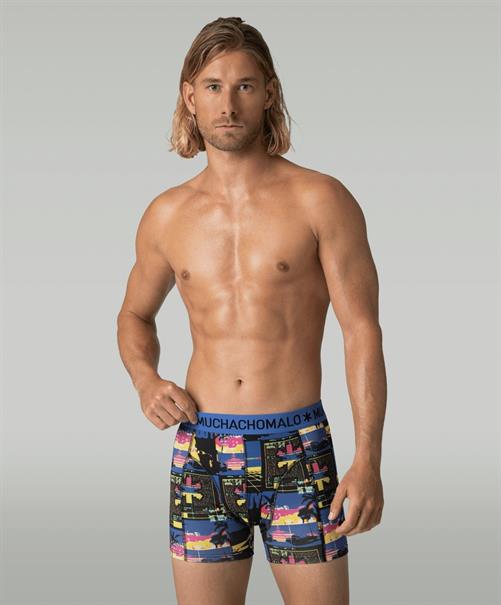 Muchachomalo Boxer Golden 12-Pack