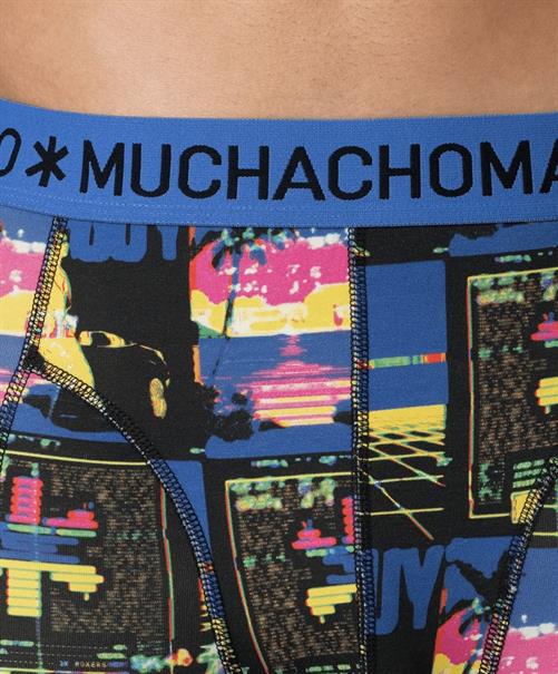 Muchachomalo Boxer Golden 12-Pack
