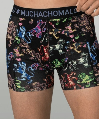 Muchachomalo Boxer Golden 12-Pack