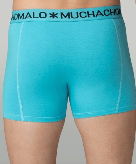 Muchachomalo Boxer Golden 12-Pack