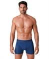 Muchachomalo Boxer Golden Special 12-Pack