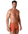 Muchachomalo Boxer Golden Special 12-Pack