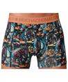 Muchachomalo Boxer Golden Special 12-Pack
