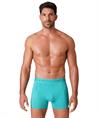 Muchachomalo Boxer Golden Special 12-Pack
