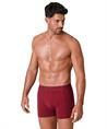 Muchachomalo Boxer Golden Special 12-Pack