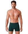 Muchachomalo Boxer Golden Special 12-Pack