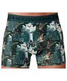 Muchachomalo Boxer Golden Special 12-Pack