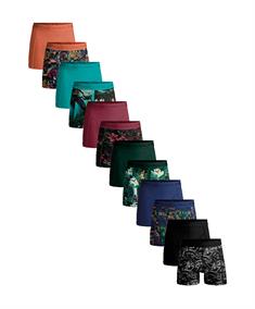 Muchachomalo Boxer Golden Special 12-Pack