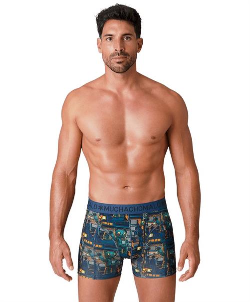 Muchachomalo Boxer Golden Special 12-Pack