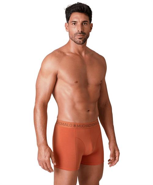 Muchachomalo Boxer Golden Special 12-Pack