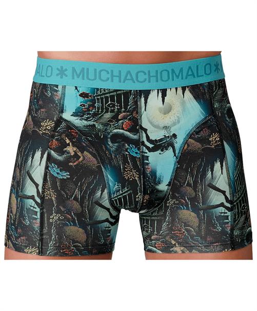 Muchachomalo Boxer Golden Special 12-Pack