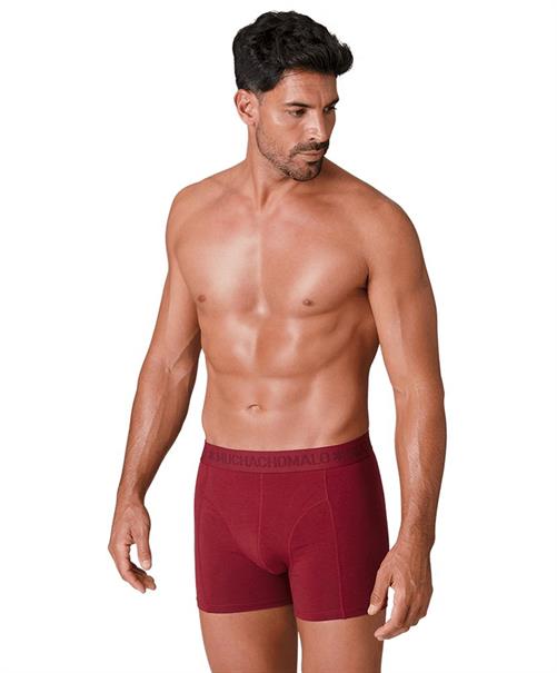Muchachomalo Boxer Golden Special 12-Pack