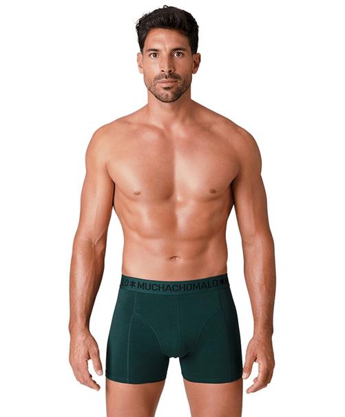 Muchachomalo Boxer Golden Special 12-Pack