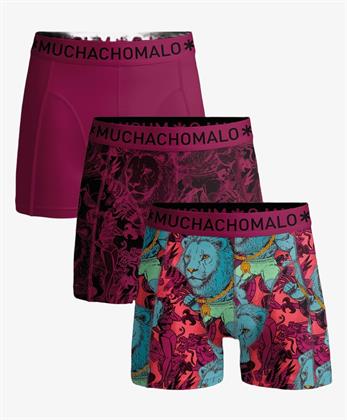 Muchachomalo Boxer King Tat 3-Pack