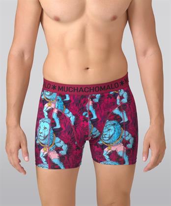 Muchachomalo Boxer King Tat