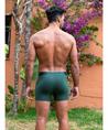 Muchachomalo Boxer Koala 2-Pack