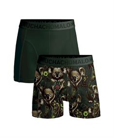Muchachomalo Boxer Koala 2-Pack