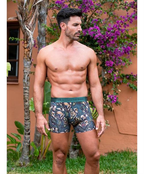 Muchachomalo Boxer Koala 2-Pack