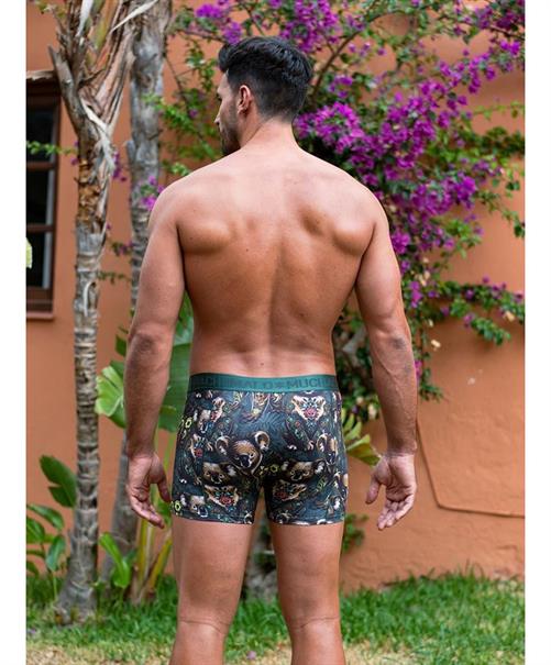 Muchachomalo Boxer Koala 2-Pack