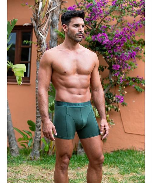 Muchachomalo Boxer Koala 2-Pack