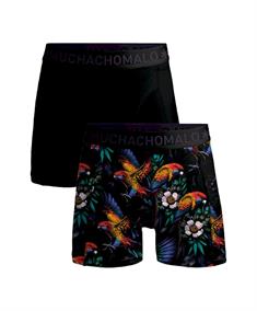 Muchachomalo Boxer Parrot 2-Pack