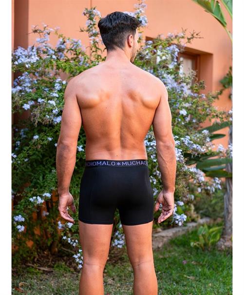 Muchachomalo Boxer Parrot 2-Pack