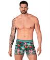 Muchachomalo Boxer Remix 10-Pack