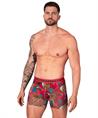 Muchachomalo Boxer Remix 10-Pack