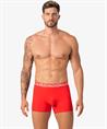 Muchachomalo Boxer Solid 3-Pack