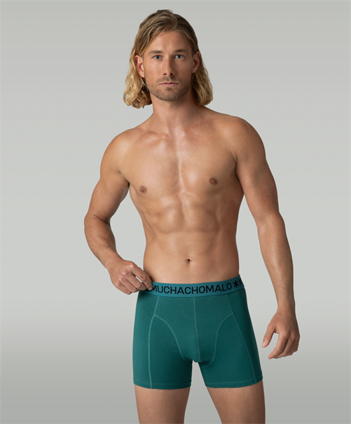 Muchachomalo Boxer Totem Horse 3-Pack