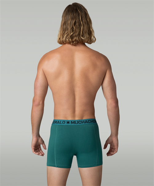 Muchachomalo Boxer Totem Horse 3-Pack