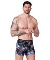 Muchachomalo Boxer Water Elements 2-Pack