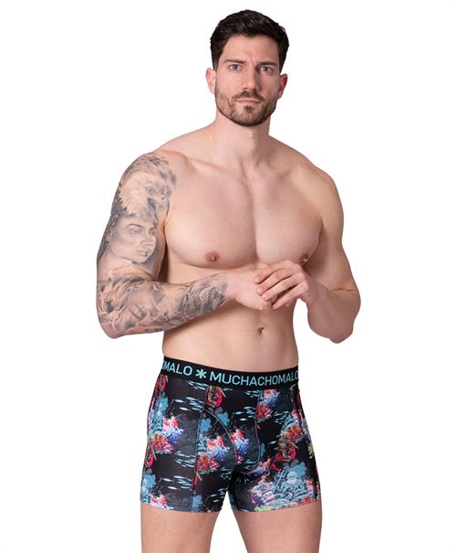 Muchachomalo Boxer Water Elements 2-Pack