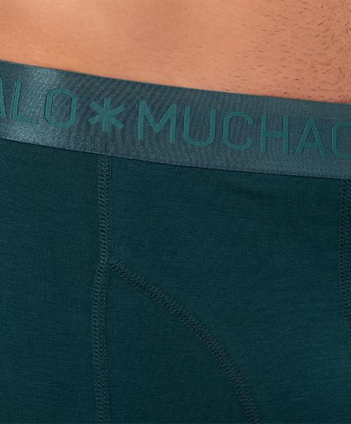 Muchachomalo Boxers Bird Print / Solid 2-Pack