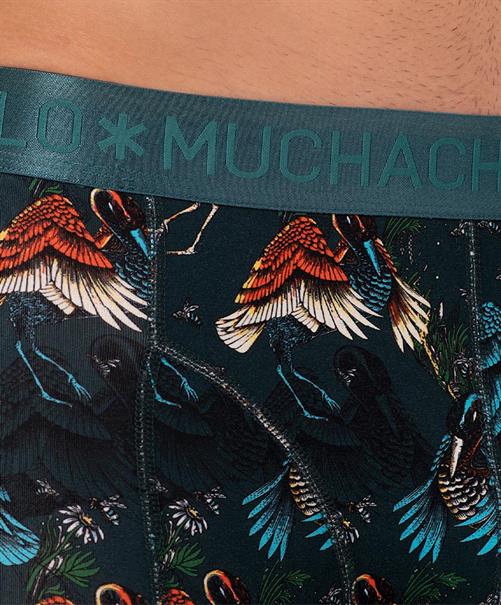 Muchachomalo Boxers Bird Print / Solid 2-Pack
