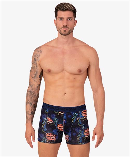 Muchachomalo Boxers Ship Print / Solid 2-Pack