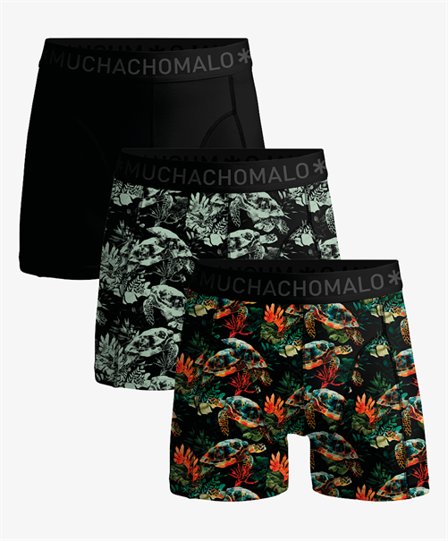 Muchachomalo Boys Boxer Turtle 3-Pack