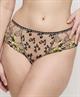PrimaDonna Hotpants Manali