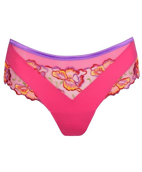 PrimaDonna String Devdaha