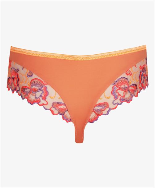 PrimaDonna String Devdaha